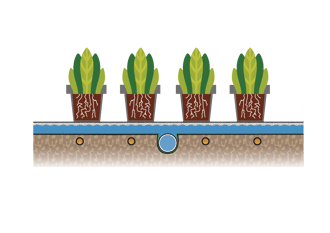 layer of water on the substrate