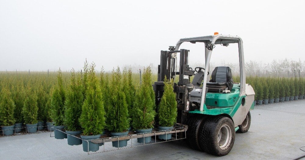 A forklift could be the Ideal Internal Transport Solution for Growers